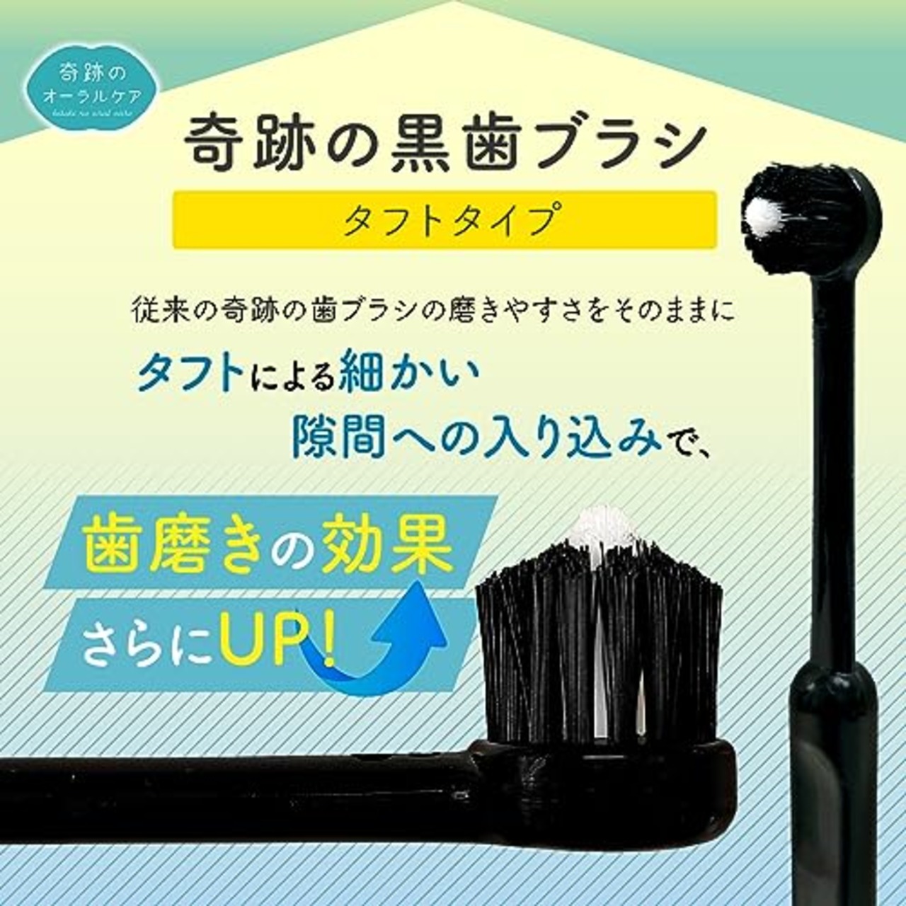 奇跡のオーラルケア 奇跡の歯ブラシ 黒 やわらかめ ワンタフトブラシ 3本 セット