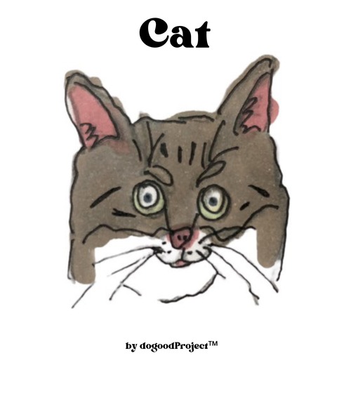 Cat(キャット)