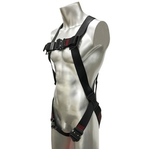 スカイハーネス