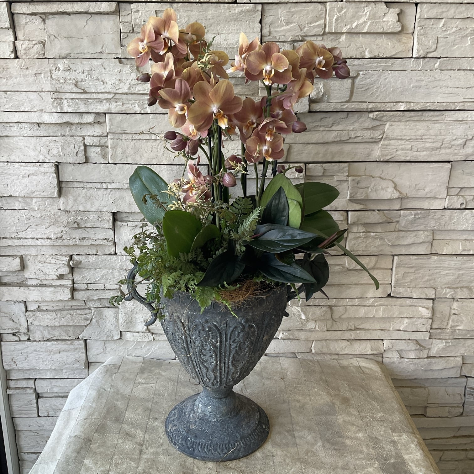 寄せ植え | 橋本種苗園