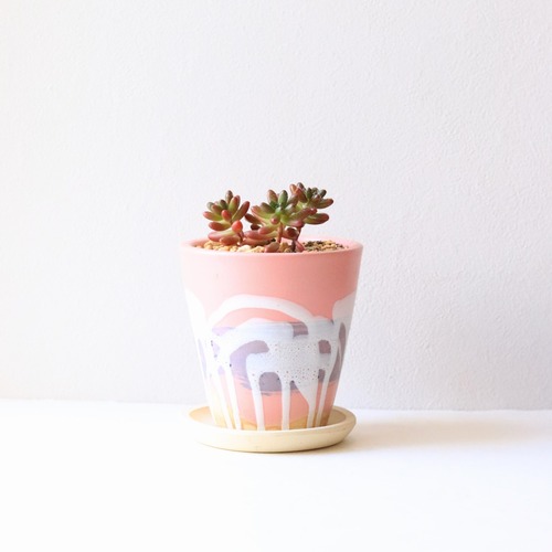 【グリーン・多肉植物】セダム レッドベリー