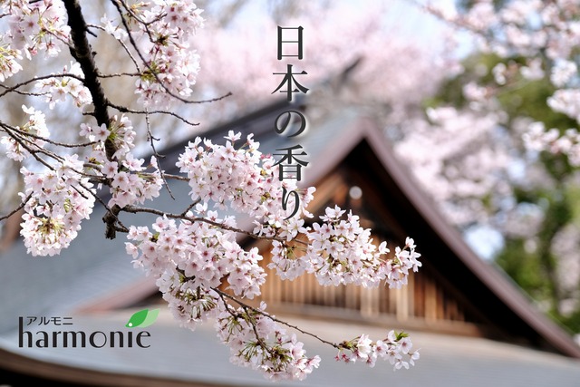 スルガエレガント (Citrus natudaidai) 5ml 駿河産 -山香- アロマテラピー エッセンシャルオイル 精油