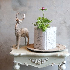 アネモネオーロラ　パープル　春のお花　球根　可愛い　女性人気