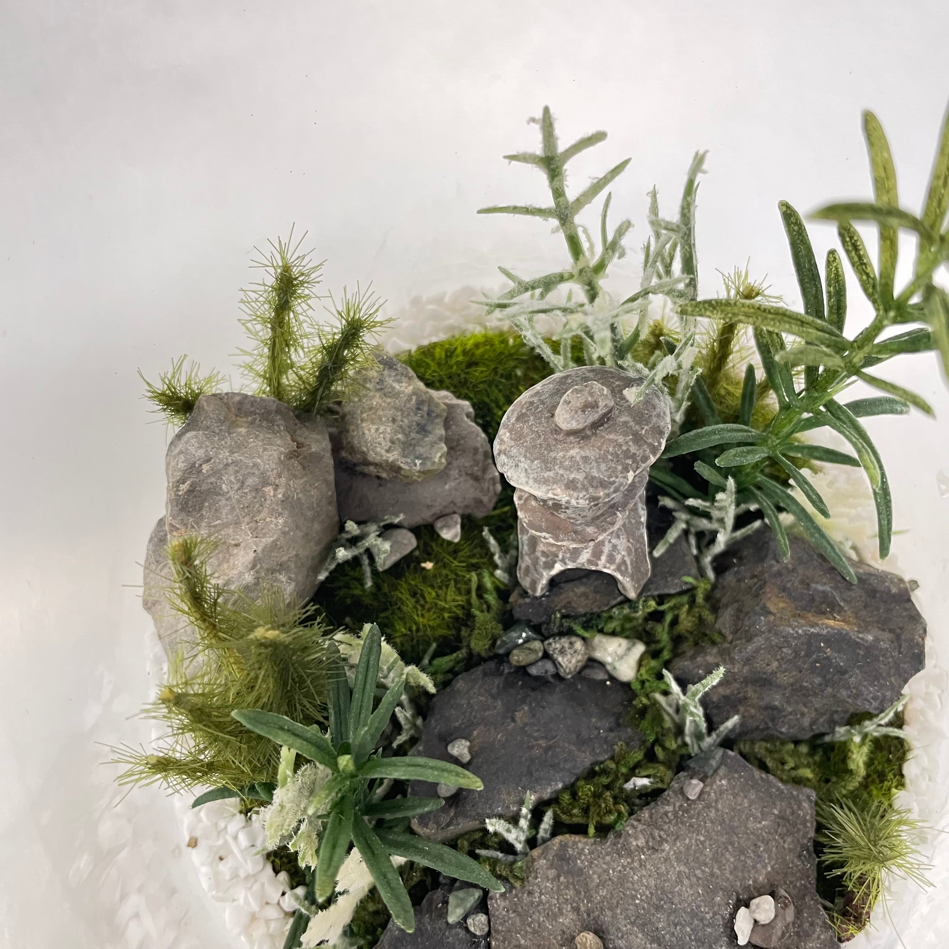 ≪送料無料≫ アート苔テラリウム #001 | nemurihana ～ flower art