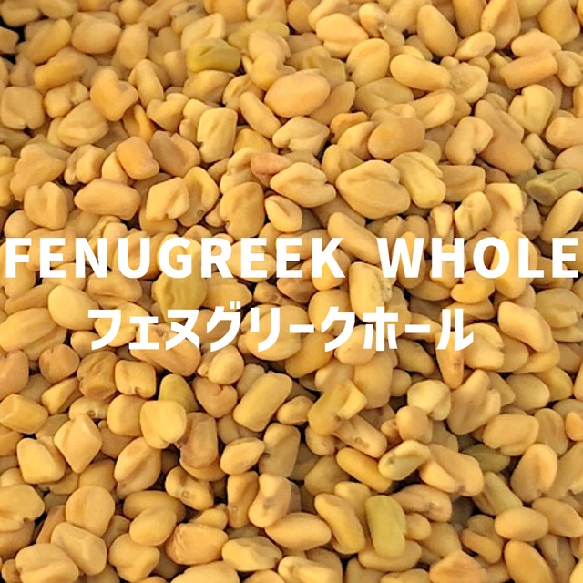 【100g】フェヌグリーク(メティシード)ホール　FENUGREEK WHOLE 　Fenugreek Whole 【ホールタイプ シード】【スパイス 香辛料 調味料 薬膳 料理 味付け 乾燥 ドライ】【nature ナチュール】