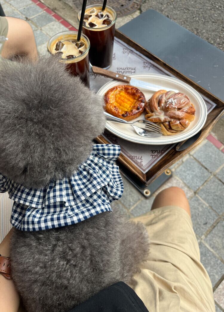 〈予約アイテム〉OHDIBS / capeness no.11 _