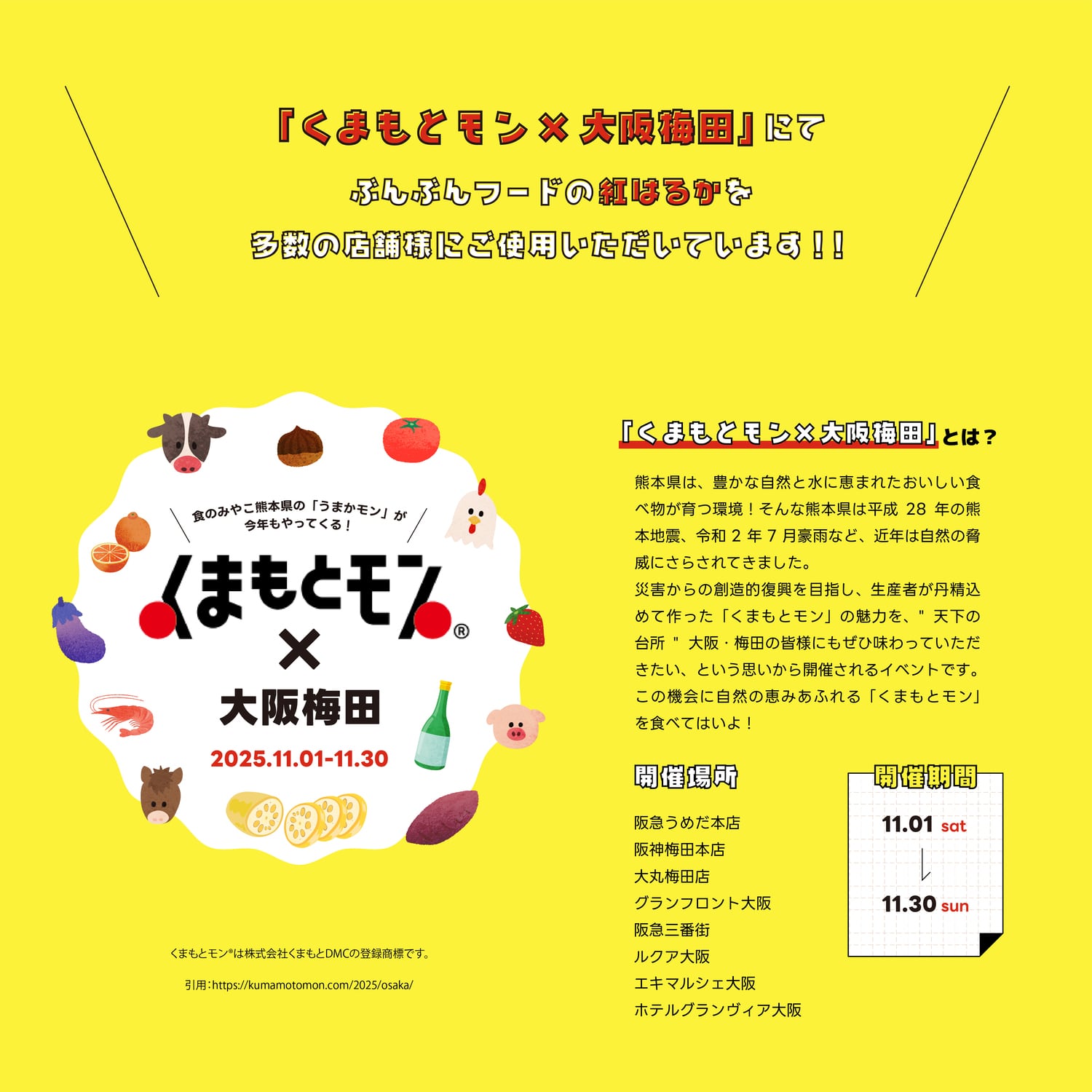 紅はるか 熟成生芋10kg 2Lサイズ 業務用 (約350g~500g/本) | ぶんぶん
