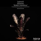 【送料無料】Aechmea 'Robelt Menescal'〔エクメア〕現品発送A0147