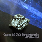 宇宙の王と繋がる「天から降りて大地に根付いた存在」カンポ・デル・シエロ隕石 No.1 リーディングストーン 1点限定