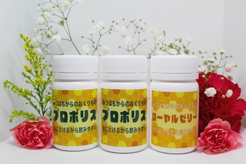 定期便切り替え・ご継続　シンプルプラン（１カ月）プロポリス×２・ローヤルゼリー×１