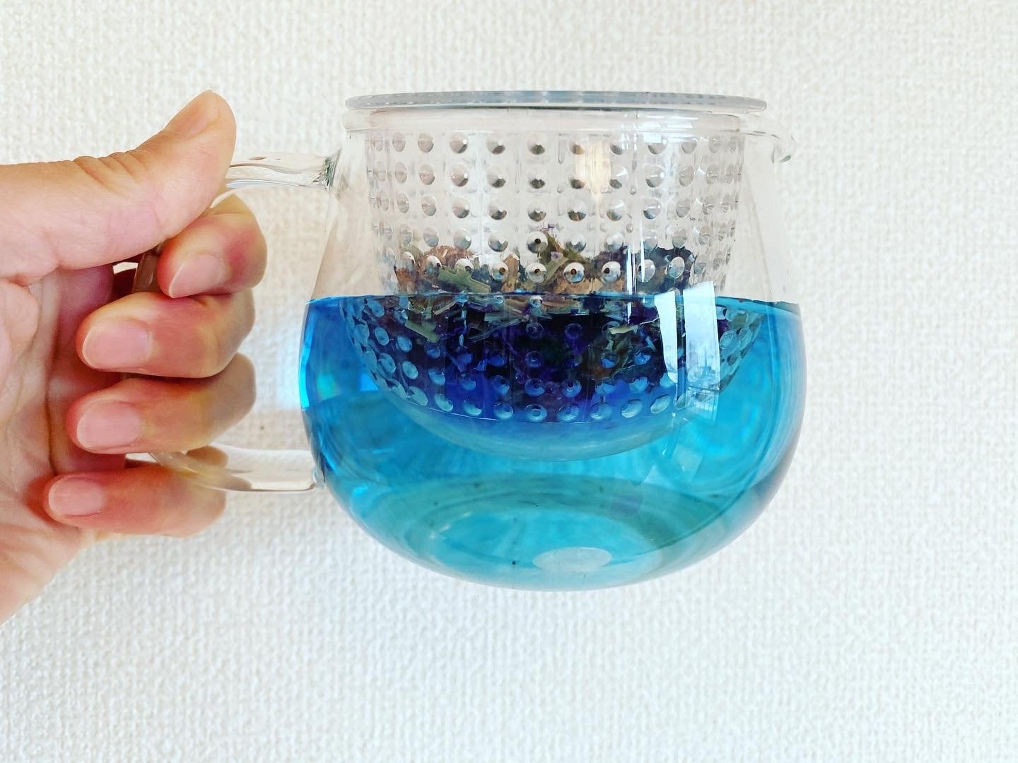 青いお茶「バタフライピー」単品