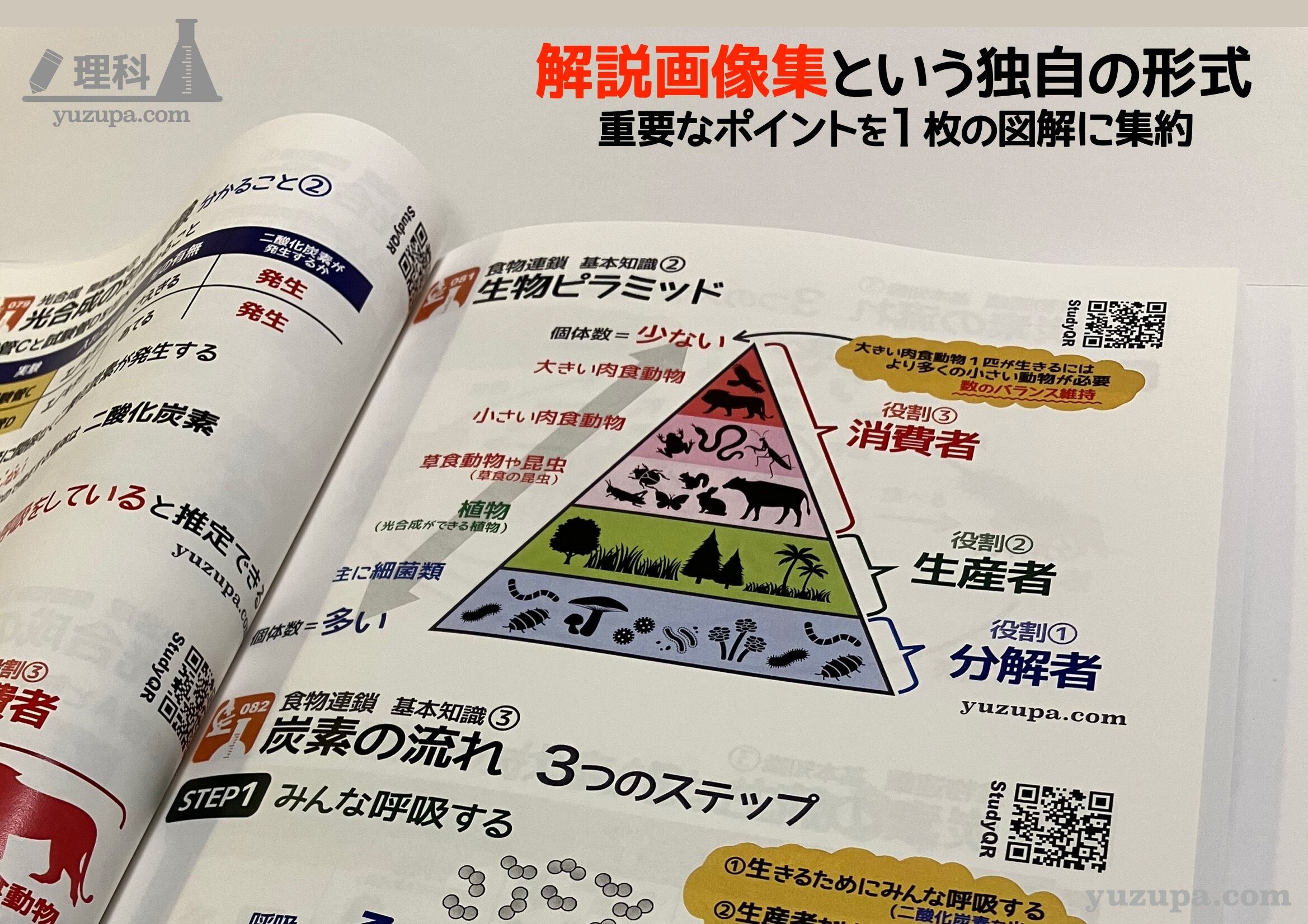 書籍型画像集-Compact- (理科) | かるび屋商店