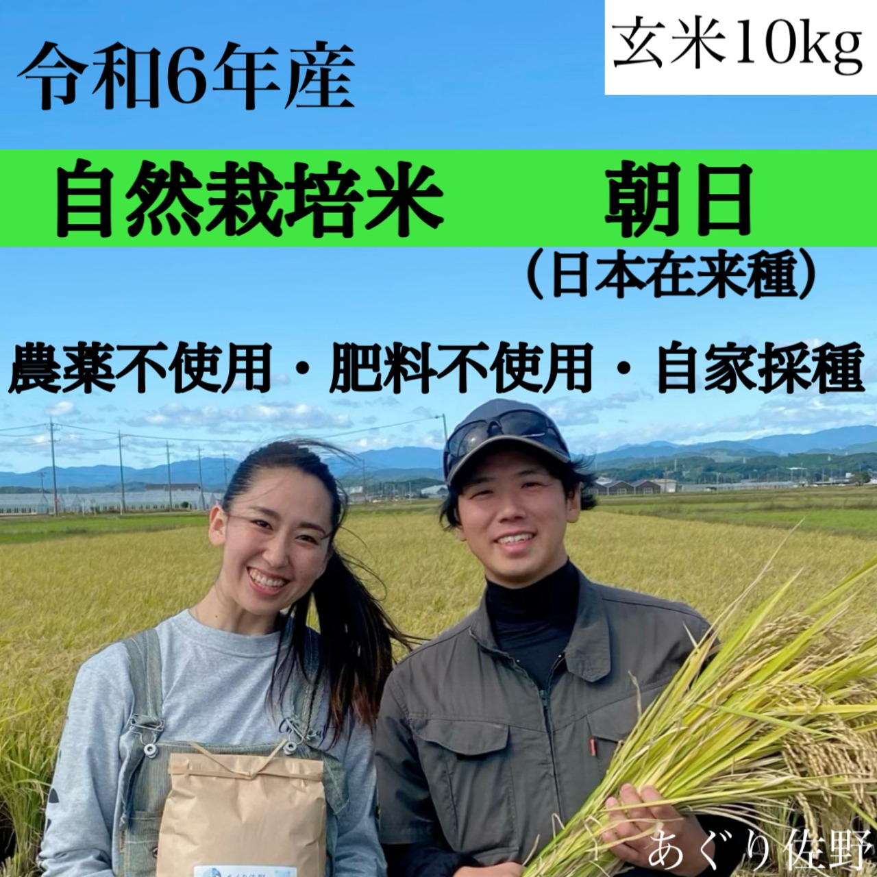 令和6年新米 自然栽培米 自家採種 朝日 玄米10kg 農薬不使用・肥料不  