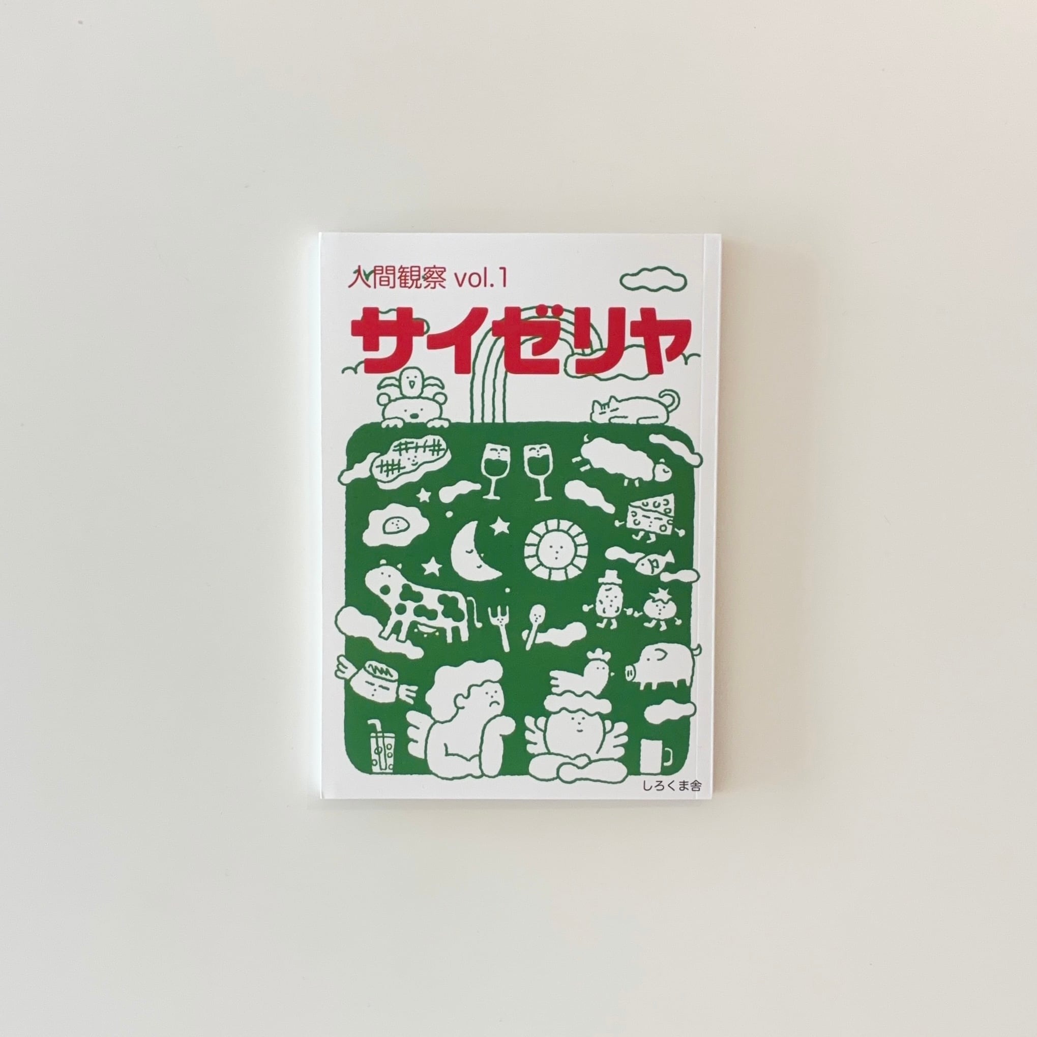 十六夜橋 新版｜石牟礼道子 | 本の栞