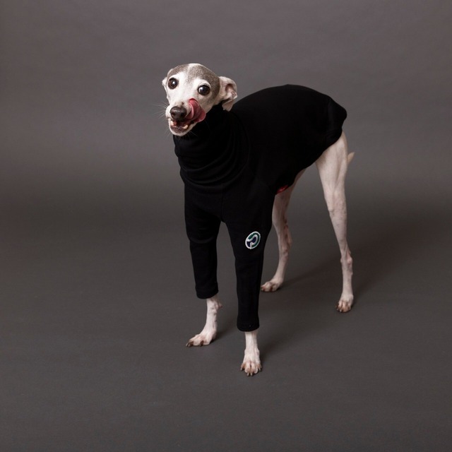 ハイネックタートルロングTシャツ　black / イタグレ服