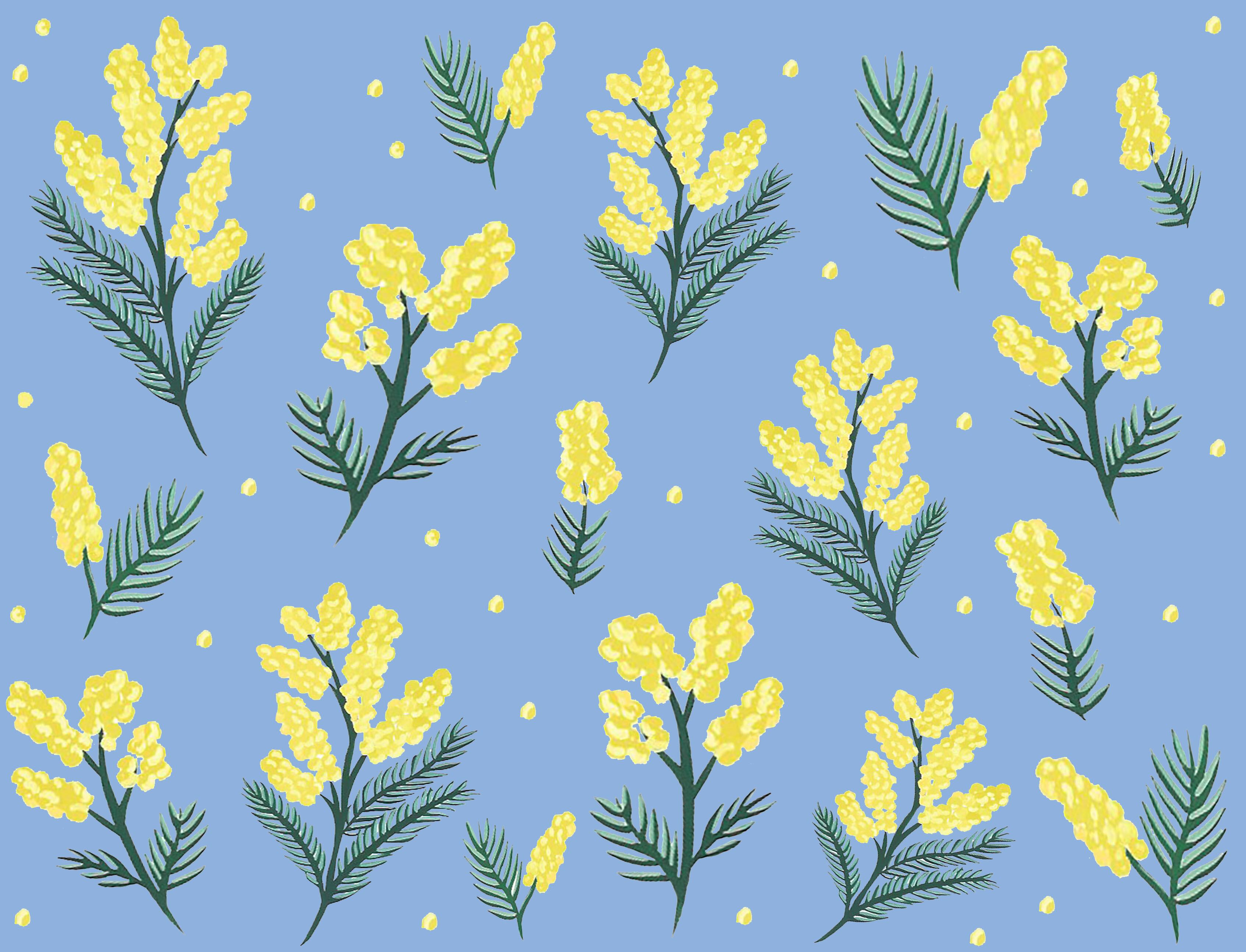 オリジナル生地 ミモザ柄 | meiko illustration