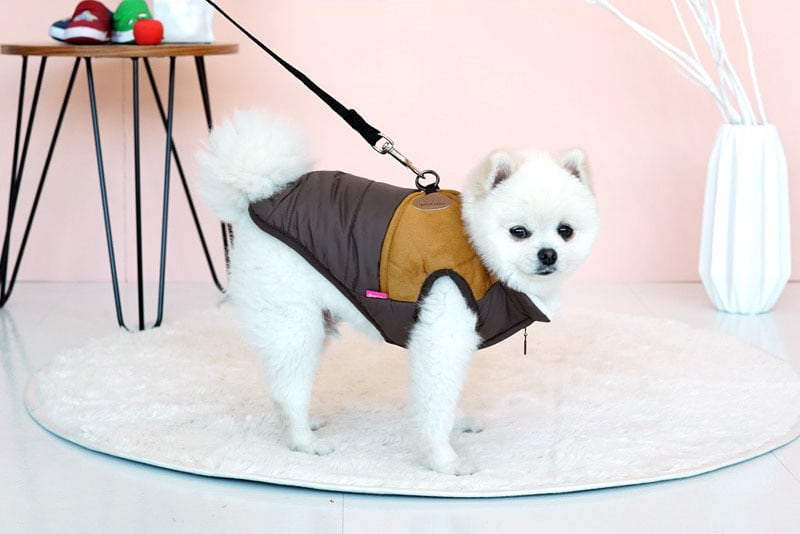 【SALE】スウェードハーネスダウンベスト S ~ 2XL 2color  /  犬服 防寒 犬 散歩 お出かけ 洋服型ハーネス アウター 暖かい 小型犬 中型犬 大型犬 outer15
