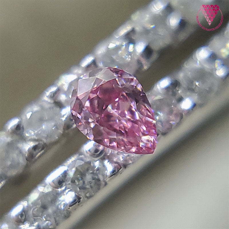 0.028 ct Fancy Intense Purplish Pink VVS1 CGL 天然 ピンク ダイヤモンド ペア シェイプ ルース |  DIAMOND EXCHANGE FEDERATION