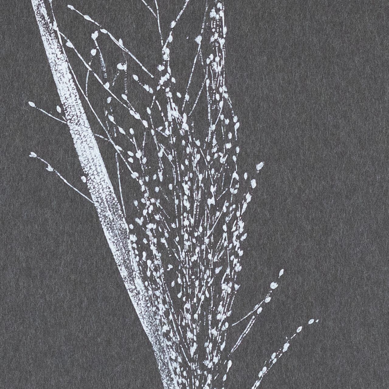 ボタニカル版画 yomogi ボタニカルアート | ゼネラルストア オルネ