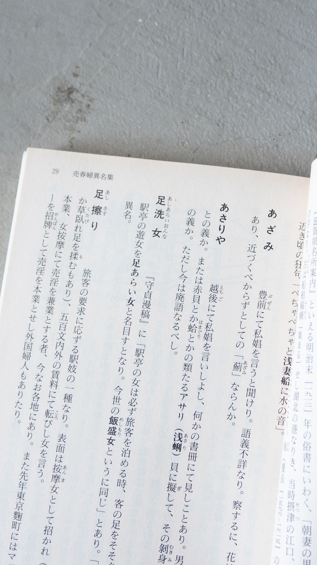 "猥褻風俗辞典" vintage Book