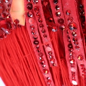 社交ダンス 衣装 タカダンス TAKADANCE ラテン ドレス ワンピース 赤 フリンジ デモ 競技 レース 発表会 パーティ レッド系 競技用ドレス パーティドレス フリンジデザイン 鮮やか 赤いドレス ラテン衣装 ダンス衣装 女性 衣装発表会 デモ用衣装 透け感 おしゃれ 社交ダンス用