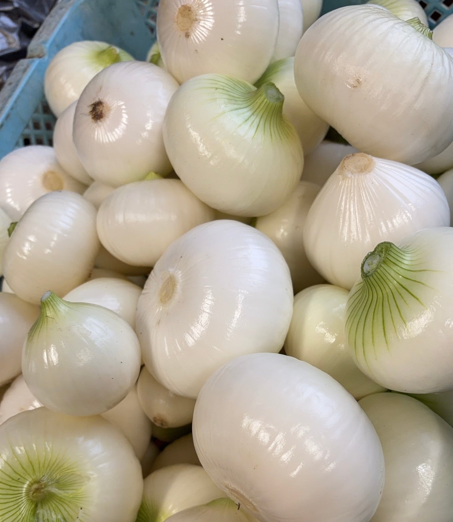 にのみや農園    皮むき 新玉ねぎ 1袋