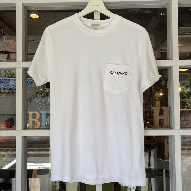 Tシャツ SUN & WAVE PIGMENT POKET SS TEE / URBAN ISLAND SOCIETY ハワイ