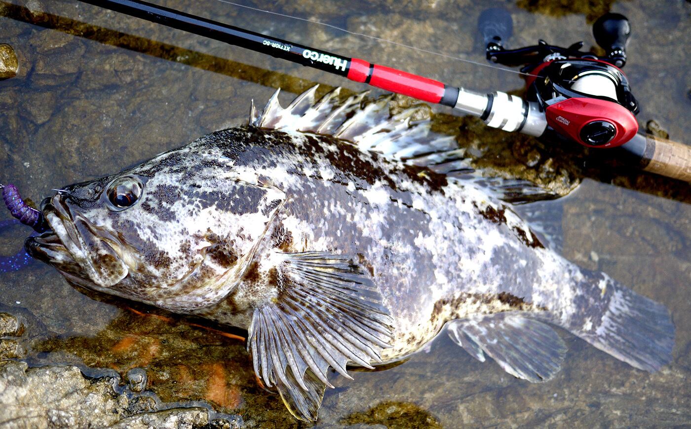 XT710R-5C | Huerco フエルコ公式オンラインパーツストア