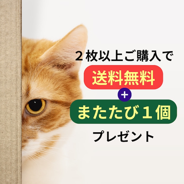 熊本県産い草100% お猫様専用ミニ畳 梅柄 | NIHONT〜にほんと〜