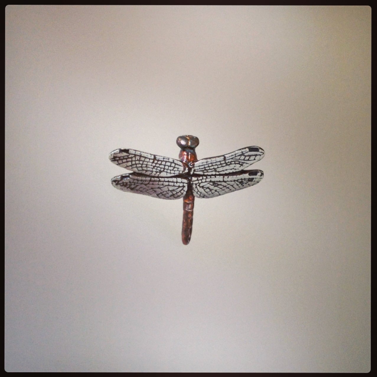 SV925】トンボバッジ | aiai生物部