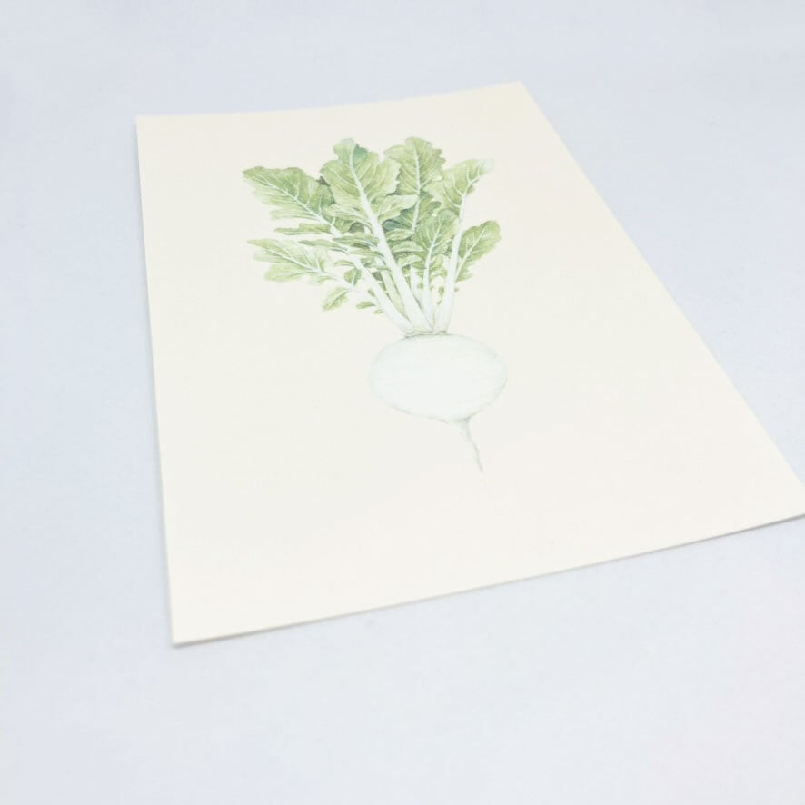 かぶ/ ポストカード / ささきめぐみ /