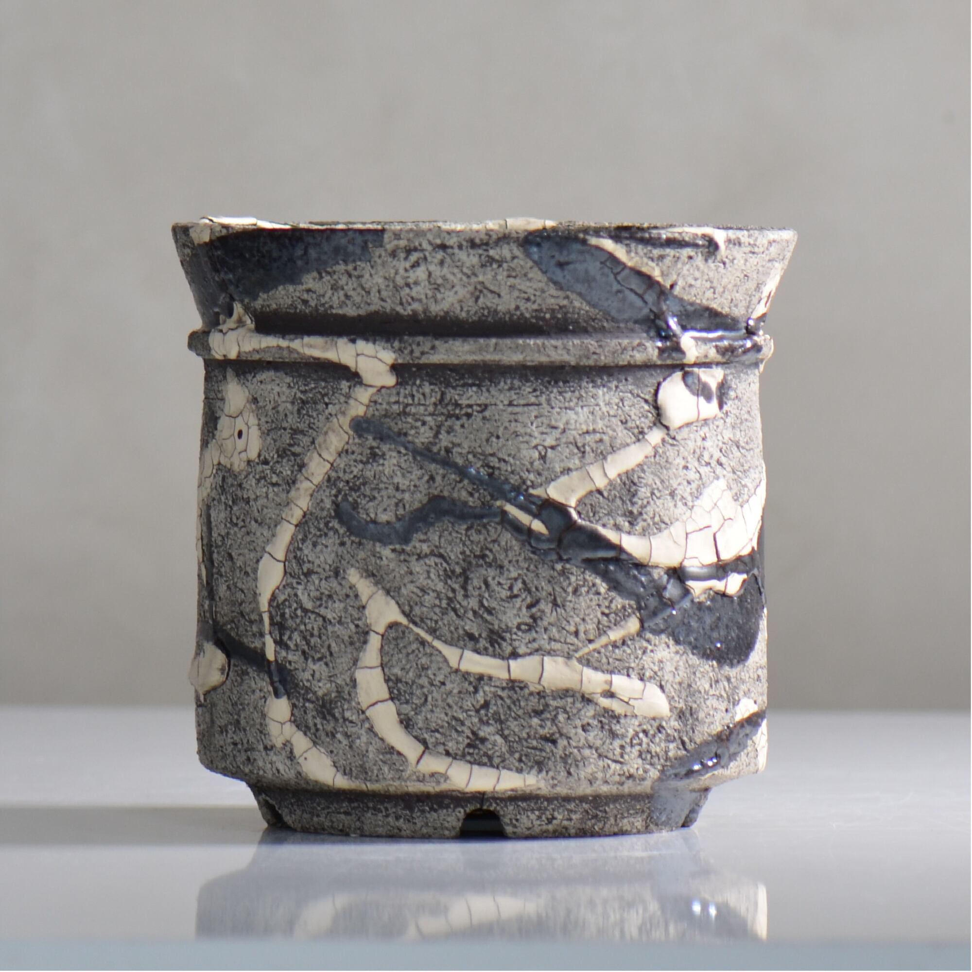 松井邦明 / 蔓 / mk4_kz10_m / 約 15cm / 植木鉢
