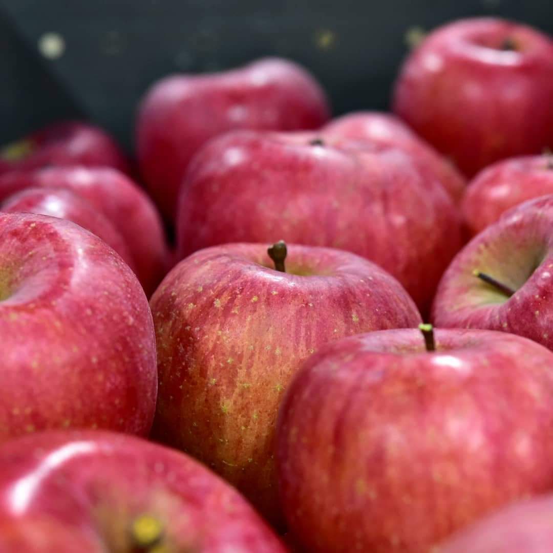 樹上完熟サンふじ(小玉）5kg ※20-25玉サイズ | フルーツファーム