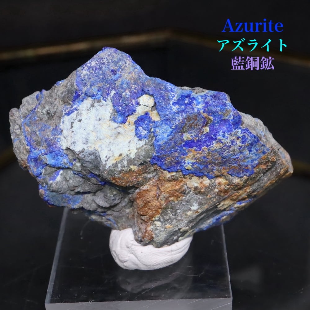 カメルーン産 アルバトス f.ストリアトス ゴライアス71mm JICS