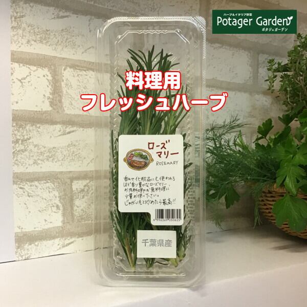 すぐ楽しむフレッシュハーブ | ハーブ苗のポタジェガーデン 本店