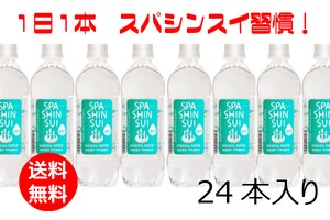 SPASHINSUI　500ml　24本入り