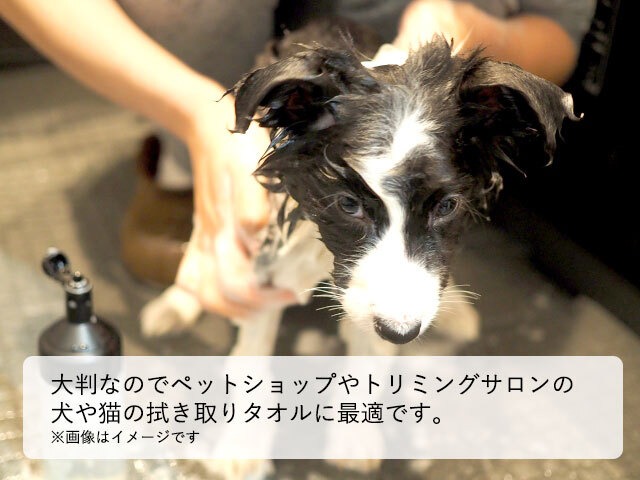 綿100％バスタオルウエス  洗浄消毒済み リサイクル品（茶／15枚入）