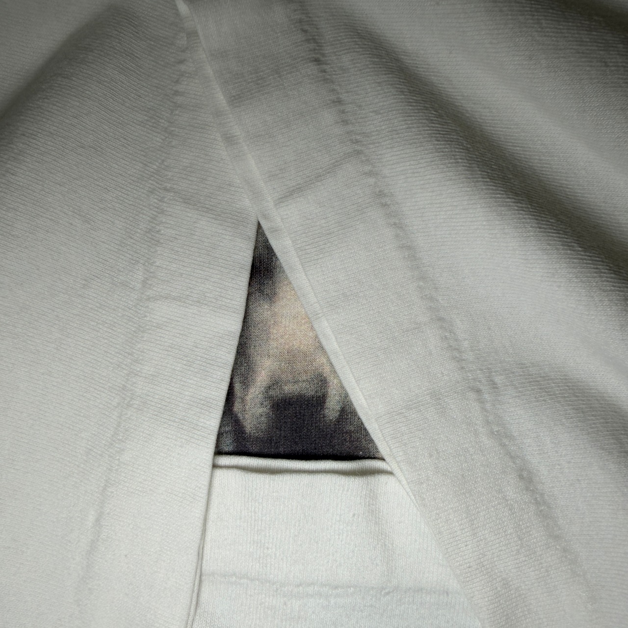 90's William Wegman "LOLITA" Printed T-Shirt USA FRUIT OF THE LOOM ART 90年代 ウィリアムウェグマン ロリータ プリント Tシャツ アメリカ ヴィンテージ ビンテージ Dog 犬 Photo フォト アート TT2026-0006 - 6