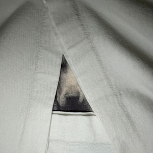 90's William Wegman "LOLITA" Printed T-Shirt USA FRUIT OF THE LOOM ART 90年代 ウィリアムウェグマン ロリータ プリント Tシャツ アメリカ ヴィンテージ ビンテージ Dog 犬 Photo フォト アート TT2026-0006