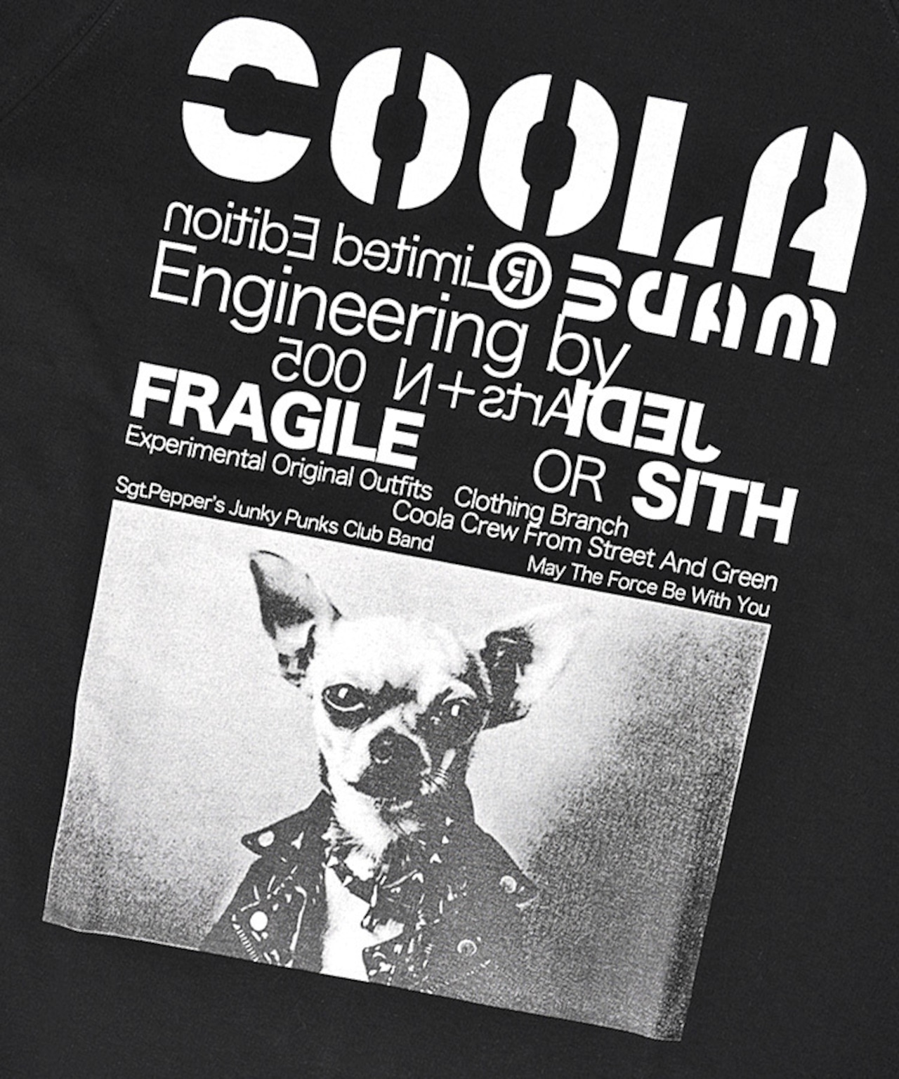 【先行販売】COOLA DOGGYフォトプリントラグランスリーブTシャツ (BEIGE) CQ-48024