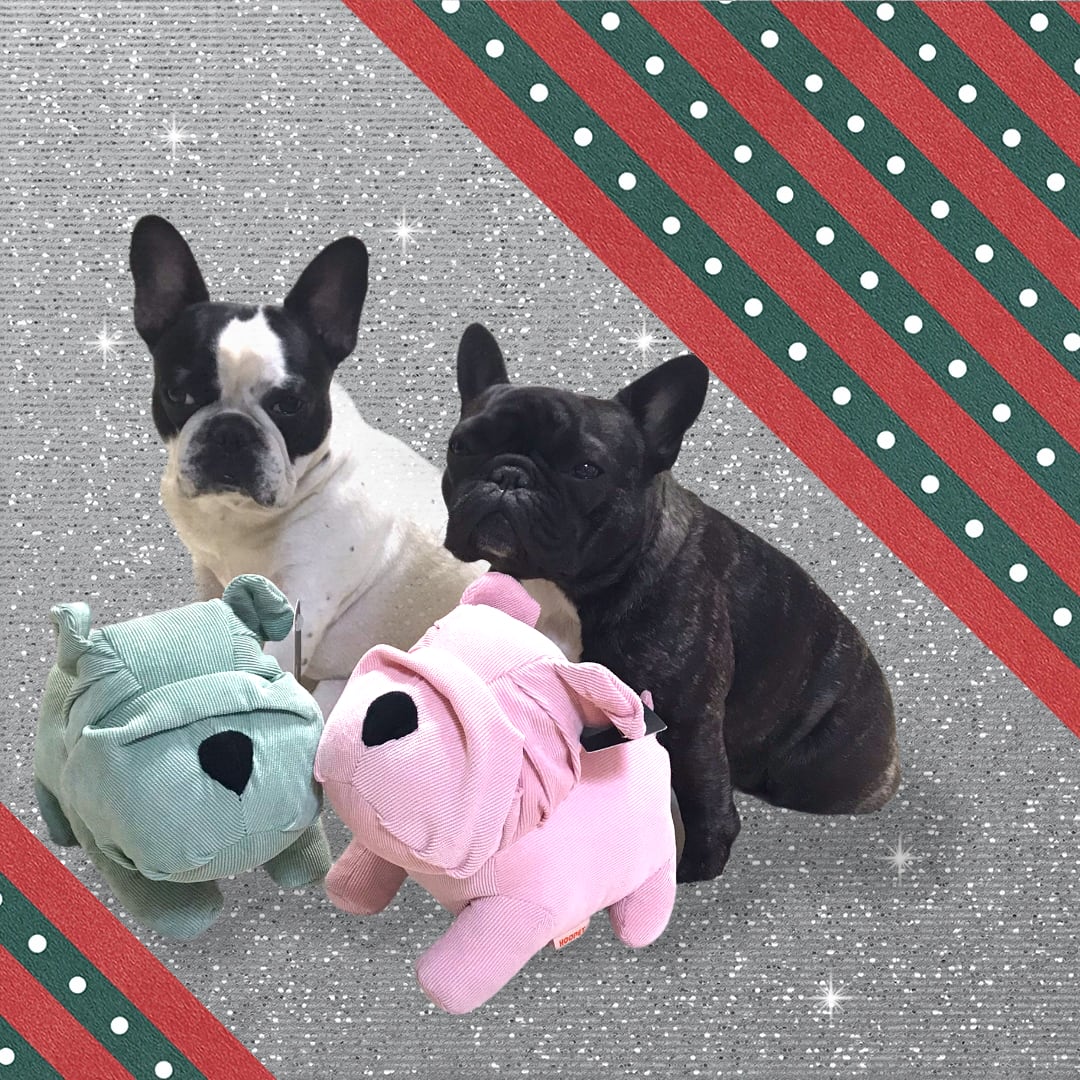 ★ハンドメイド★ ふわくた赤ちゃん フレンチブルドッグ ぬいぐるみ ホワイト ☆ハンドメイド☆ ふわくた赤ちゃん フレンチブルドッグ