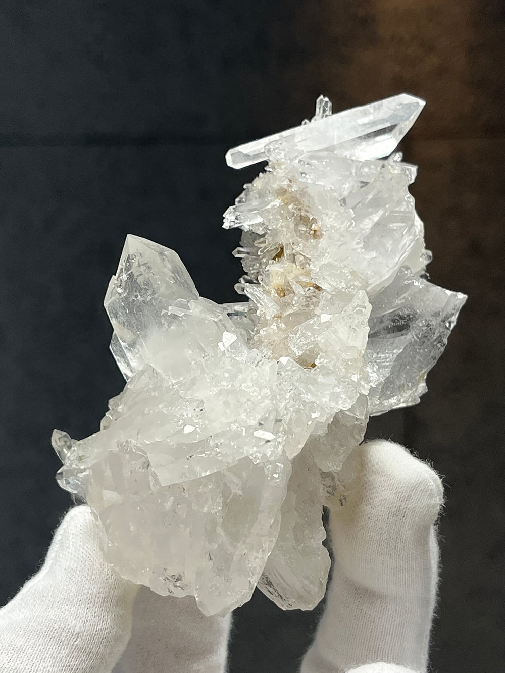 遼寧省産ザリガニの化石・278g（中国産化石標本） | Pay ID