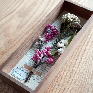標本箱風アレンジ（ピンク：ペッパーベリー）