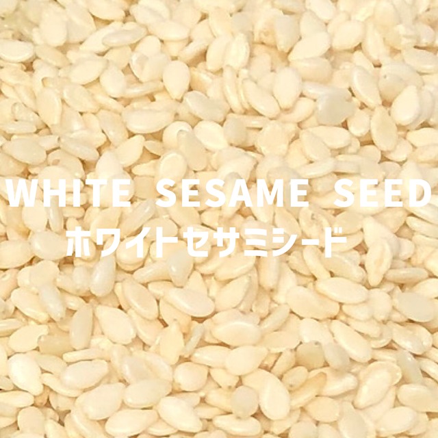 【100g】白ごま ホワイトセサミシード  WHITE SESAME SEED White Sesame Seed【シードタイプ 】【スパイス 香辛料 調味料 薬膳 料理 味付け 乾燥 ドライ】【nature ナチュール】
