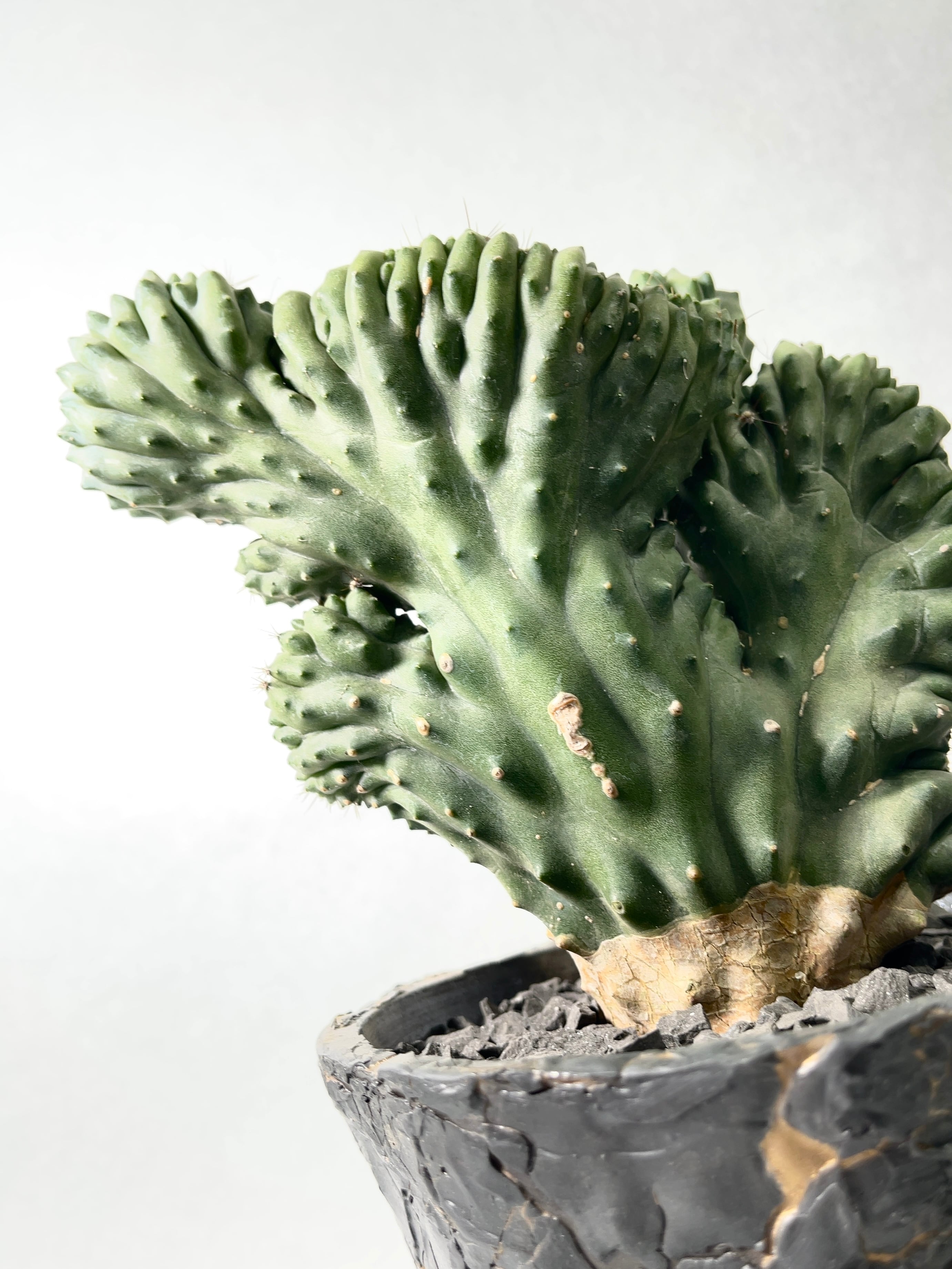 27afae4162f5c87ecebeb47c3d57d4