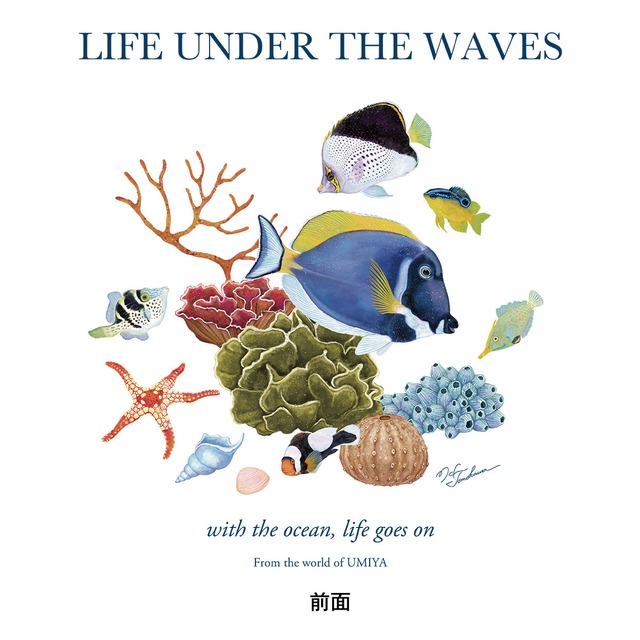 海の生きもの半袖Tシャツ（パウダーブルーサージョンフィッシュ）｜LIFE UNDER THE WAVES Model-03
