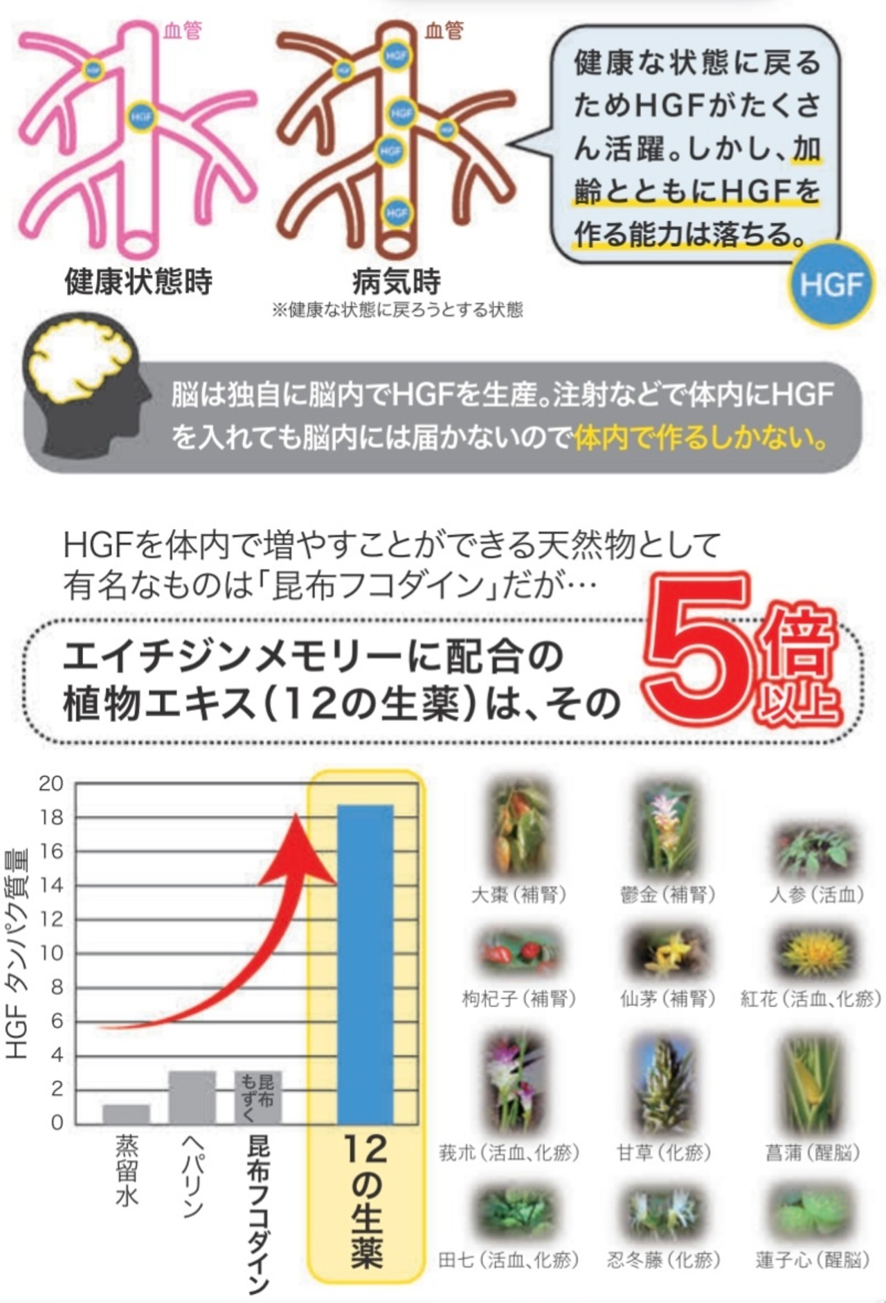 エイチジンメモリー・画像5