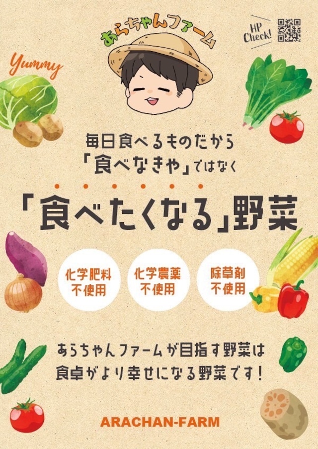 【定期便：週1回】旬の野菜セットM