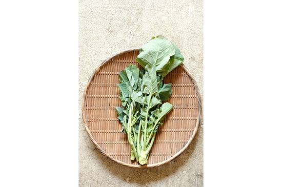 【江戸東京野菜】のらぼう菜・150g