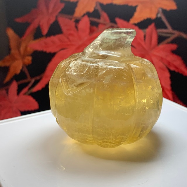 7.かぼちゃ・フローライト